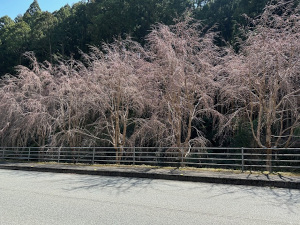 正木トンネル付近